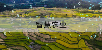 北斗农业追朔平台