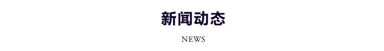 新闻动态